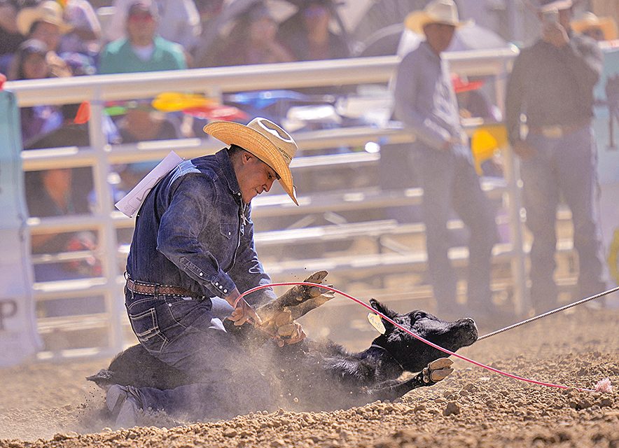 Northern Navajo Fair: Pablo, Nahkai rope all-around titles