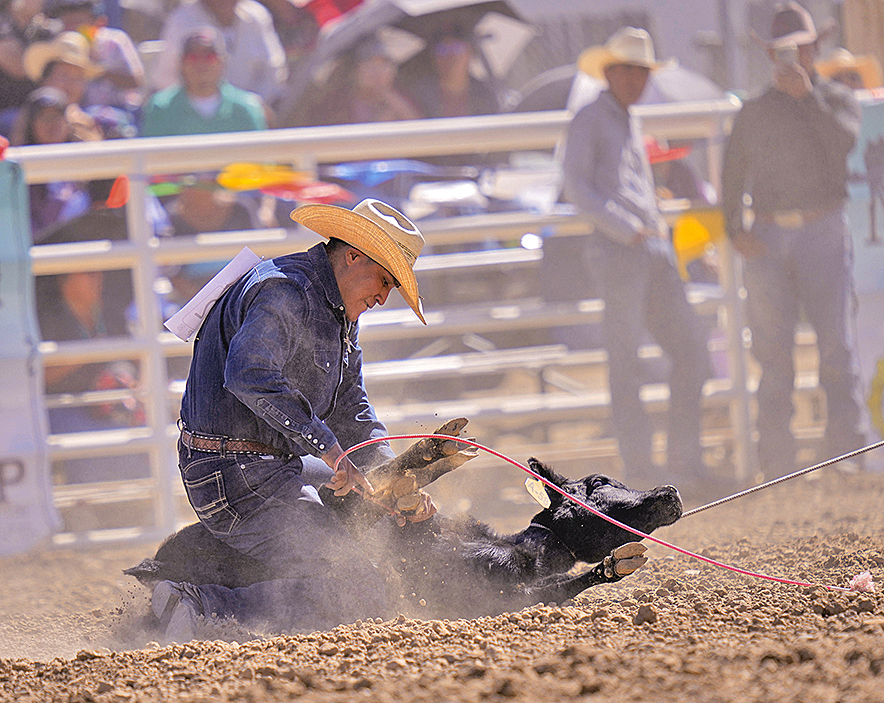 Northern Navajo Fair: Pablo, Nahkai rope all-around titles