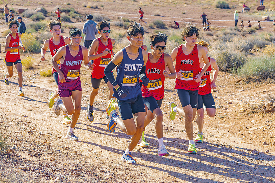 Page boys sweep 3A North titles