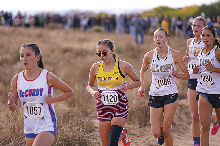 Surprise, surprise: LA harrier wins Class A-2A state crown