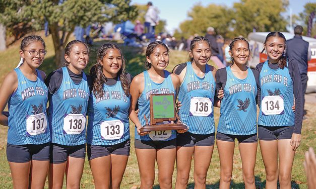 Navajo Prep girls secure third-place finish, Tohatchi harrier earns first state medal