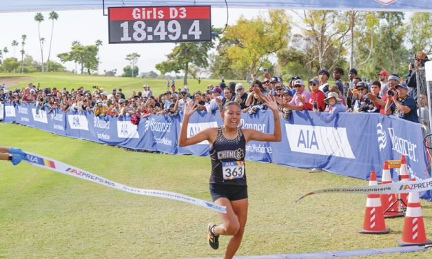 Page boys capture third straight state title <br>Chinle’s Janessa Segay wins individual crown