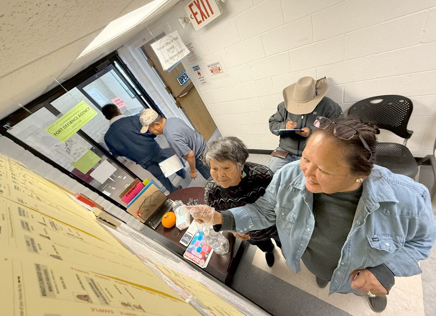 Record number of Navajo voters turn out for early voting as NEA begins ...