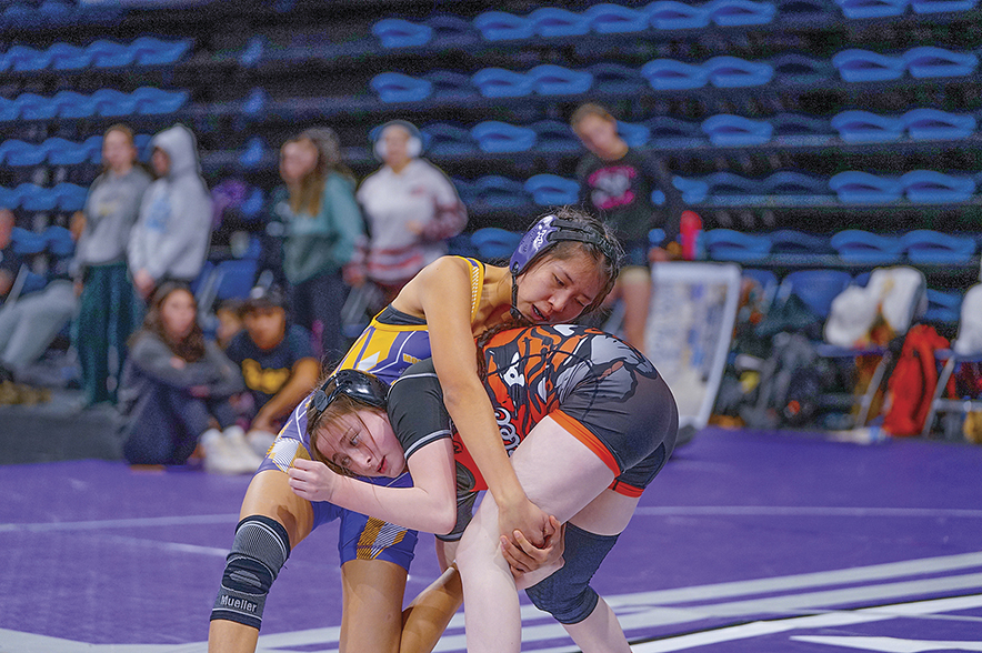 MV wrestler earns silver