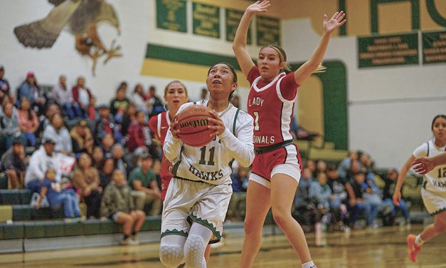 Thoreau girls fall to Robertson