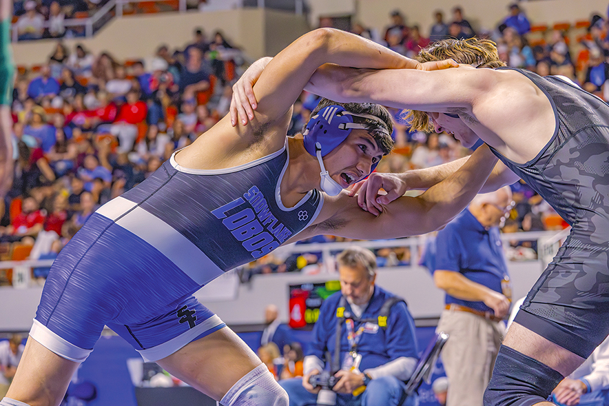 Area wrestlers cap season with state crowns