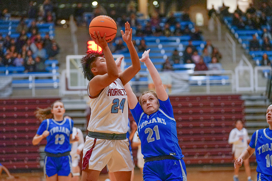 AIA 3A girls playoffs: Ganado’s ‘sixth-man’ motivates Lady Hornets to victory