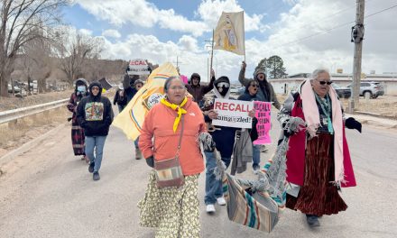 ‘Recall Buu Nygren’ committee file over 11,000 signatures Monday