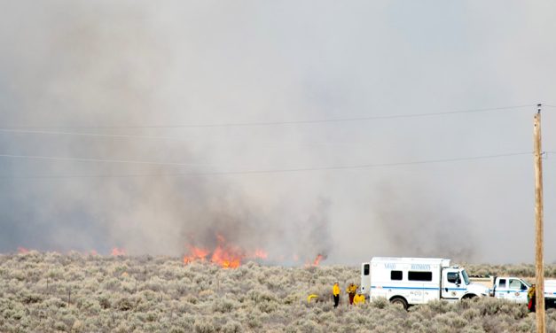 Spider Fire near Whitecone forces some evacuations