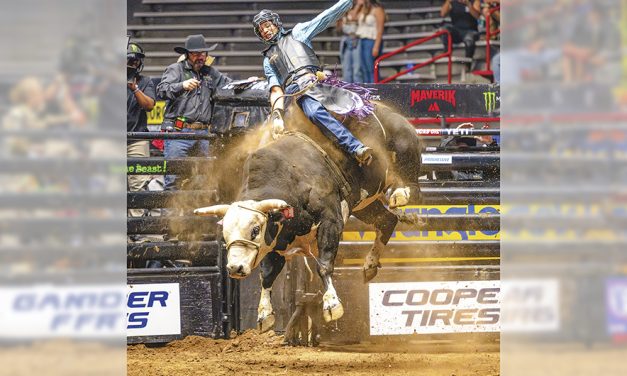 Earning a piece of the pie: Local stock contractor bucks ‘Black Harbor’ at Ty Murray Invite