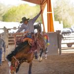 Pinedale cowboy looking for a fresh start