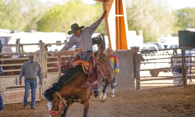 Pinedale cowboy looking for a fresh start