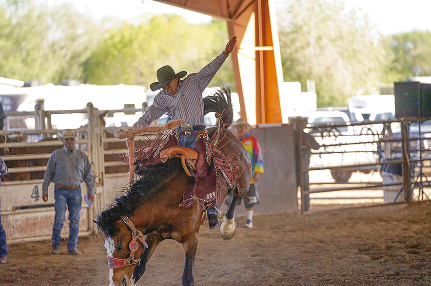 Pinedale cowboy looking for a fresh start