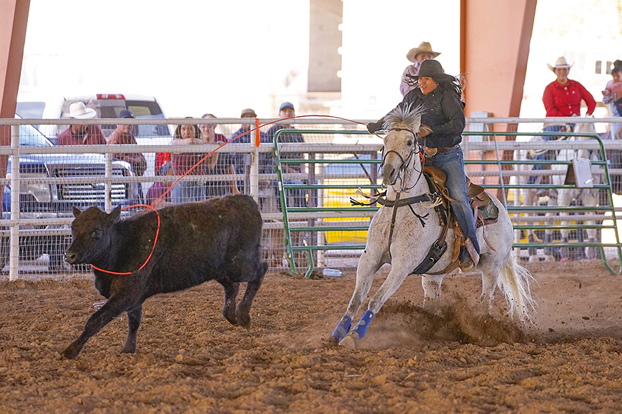 Pinedale cowboy looking for a fresh start
