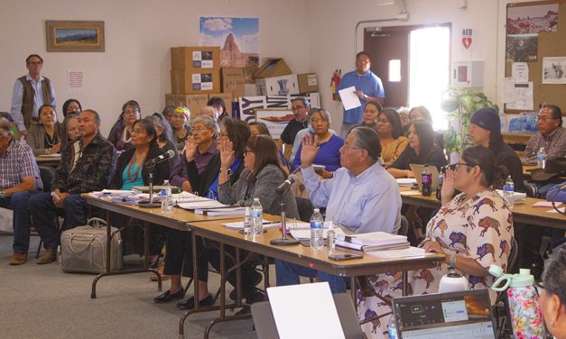 RDC delays rescission decision on Shonto Chapter’s business site leasing delegation