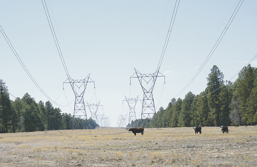 Could coal mining in Arizona come back to the Nation?