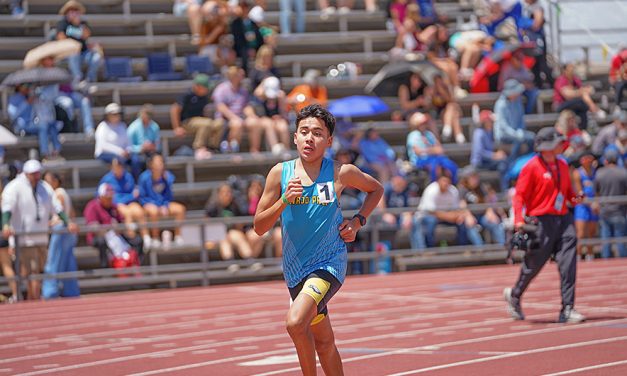 New PRs help area athletes to top finishes at state with 3 winning gold