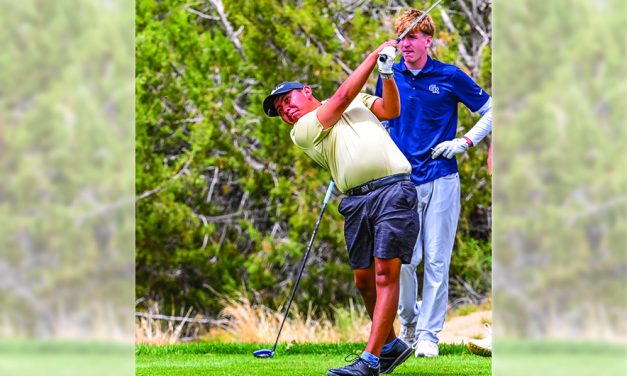 Perseverance helps KC golfer to<br>sixth-place finish at state