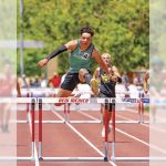 Farmington collects 2 gold, 2 silver medals at state