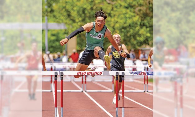 Farmington collects 2 gold, 2 silver medals at state