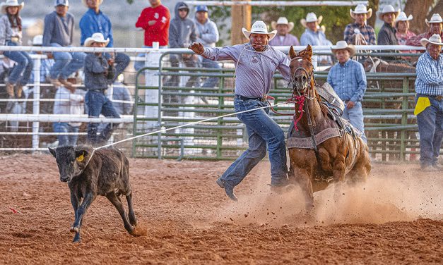 Mexican Springs cowboy wins 3 all-around<br>titles in single day