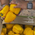 Judge orders USDA to pay SNAP benefits during shutdown