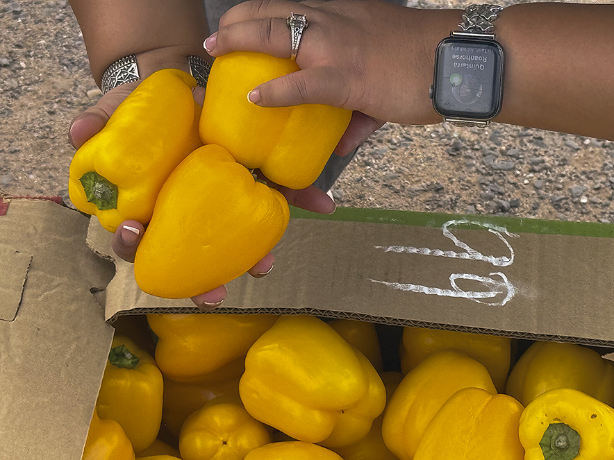 Food, medicine and k’é: Where grocery stores are miles away, CHRs step in
