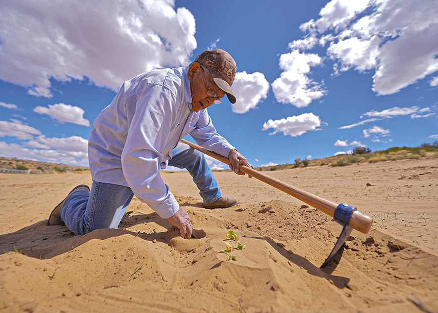 ‘The ground is tired’ Hopi farmer battles drought, wind, and time