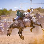 Lane J. Silversmith Memorial champion: Tonalea cowboy wins bareback crown with 78-point ride
