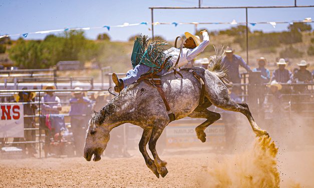 Lane J. Silversmith Memorial champion: Tonalea cowboy wins bareback crown with 78-point ride