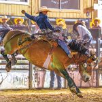 ‘Something to ride for’: Creighton Curley takes third at Navajo Nation prorodeo