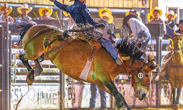 ‘Something to ride for’: Creighton Curley takes third at Navajo Nation prorodeo