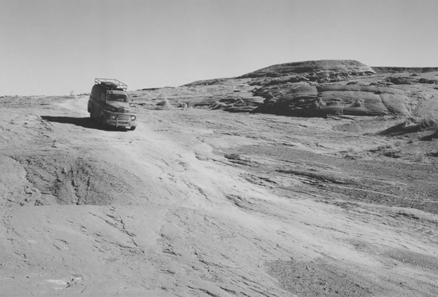 Echoes of resilience: Diné voices return in ‘Our Livestock Will Never Diminish’