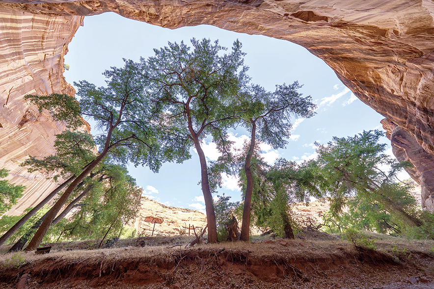 Canyon Keepers: Canyon de Chelly residents band together to preserve their home, heritage