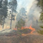 Oak Ridge Fire burns 200 acres near St. Michaels, evacuation center opens at senior center