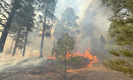 Correcting the record<br> Oak Ridge Fire canceled events, not lives
