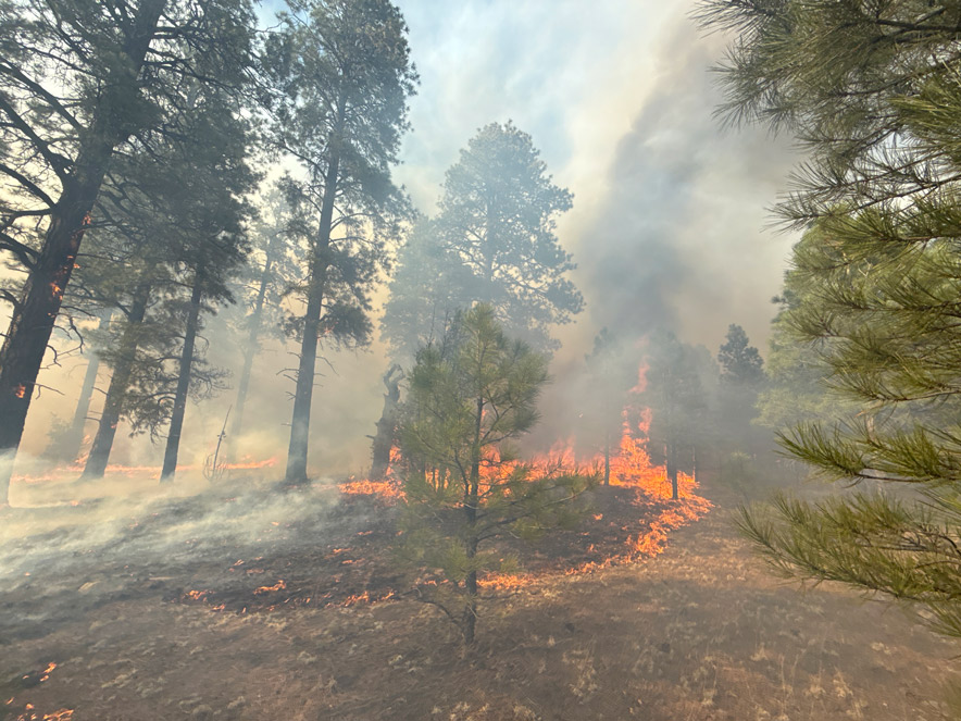 Correcting the record<br> Oak Ridge Fire canceled events, not lives
