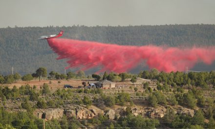 Oak Ridge Fire grows, prompts voluntary evacuations near St. Michaels