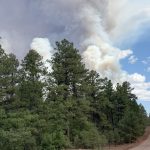 Oak Ridge Fire cancels Ahóóhai Days rodeo, postpones Cody Jesus Invitational