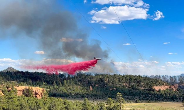Bowl Canyon Fire near Asááyi’ Lake burns 100 acres