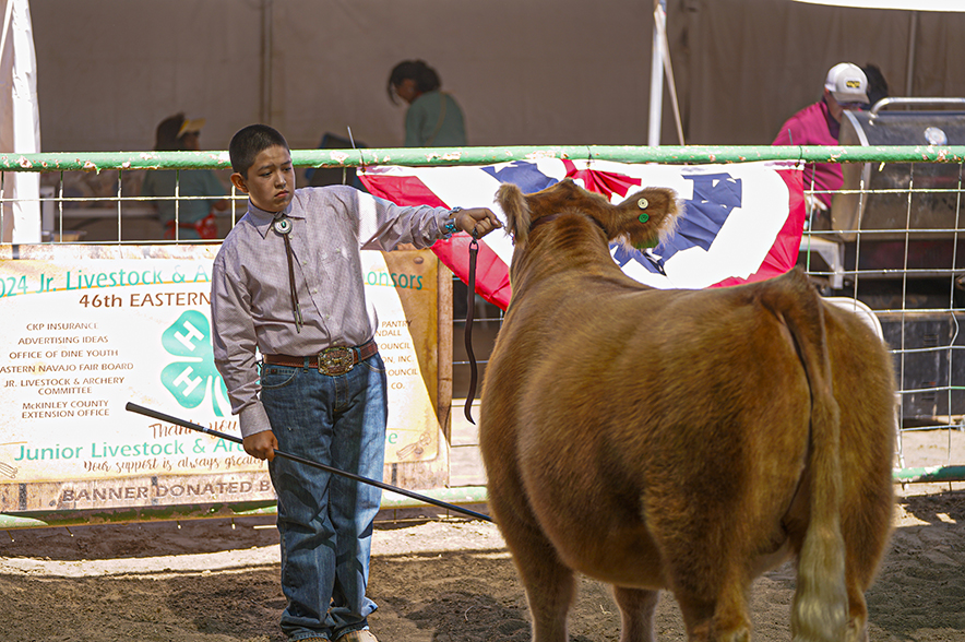 Upper Fruitland 4-Her impresses judge in round robin competition