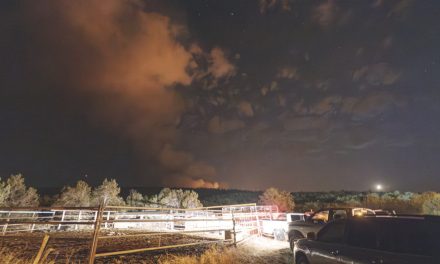 Communities mobilize to support evacuees, others impacted by Oak Ridge Fire