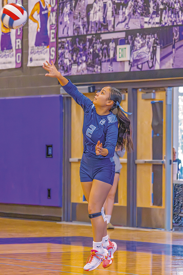 3A North volleyball sees coaching changes for 2025 season