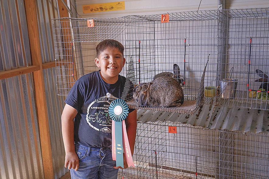 Dreamweavers 4-H continues to see success after 13 years