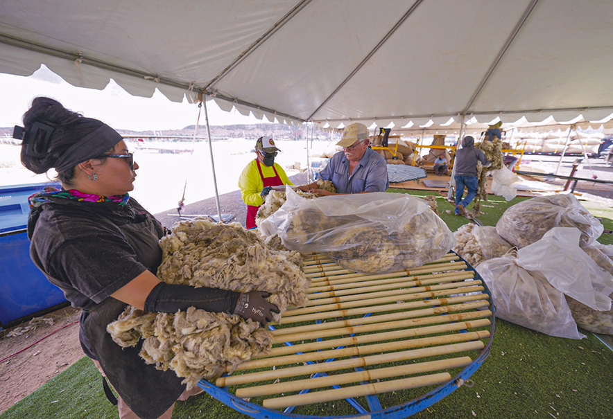 Market returns: Navajo wool buybacks bridge generations, survival