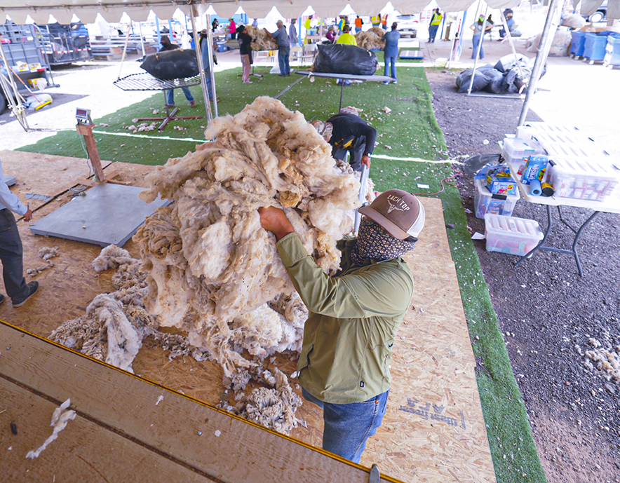 Market returns: Navajo wool buybacks bridge generations, survival