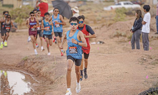 Navajo Prep, Ganado harriers shine<br>with dominant wins