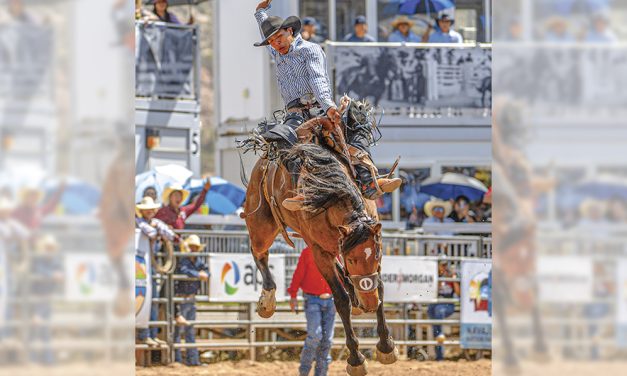 Saddle bronc champ Jacob Yazzie makes the most of his return to rodeo