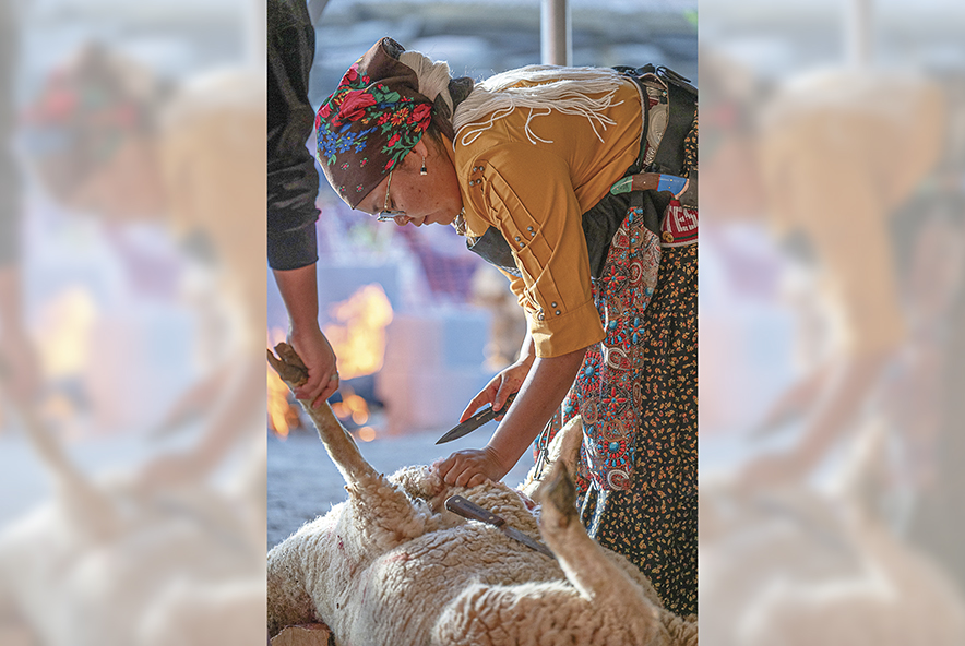 Miss Navajo Nation pageant opens with sheep-butchering competition