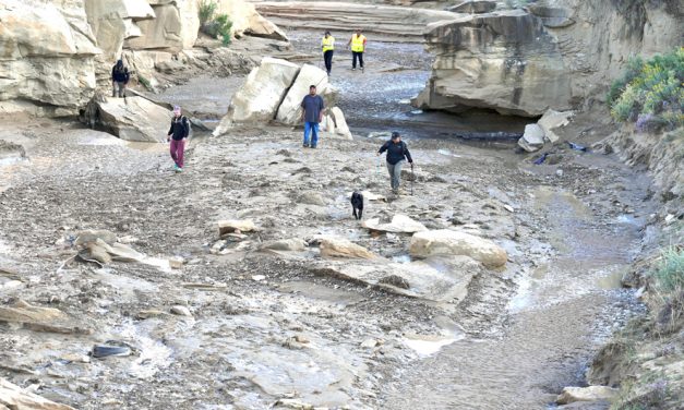 Body of missing woman found after days of searching